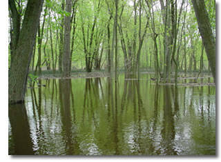 Muskegon River - high water